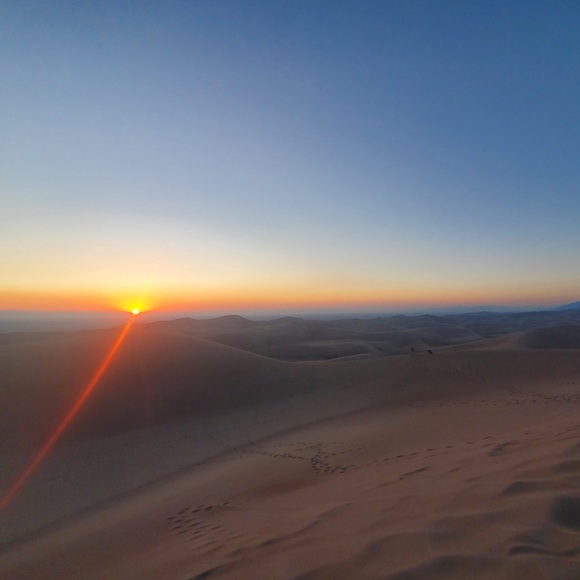 Meet your Posher, Mackenzie - Picture 1 of 1